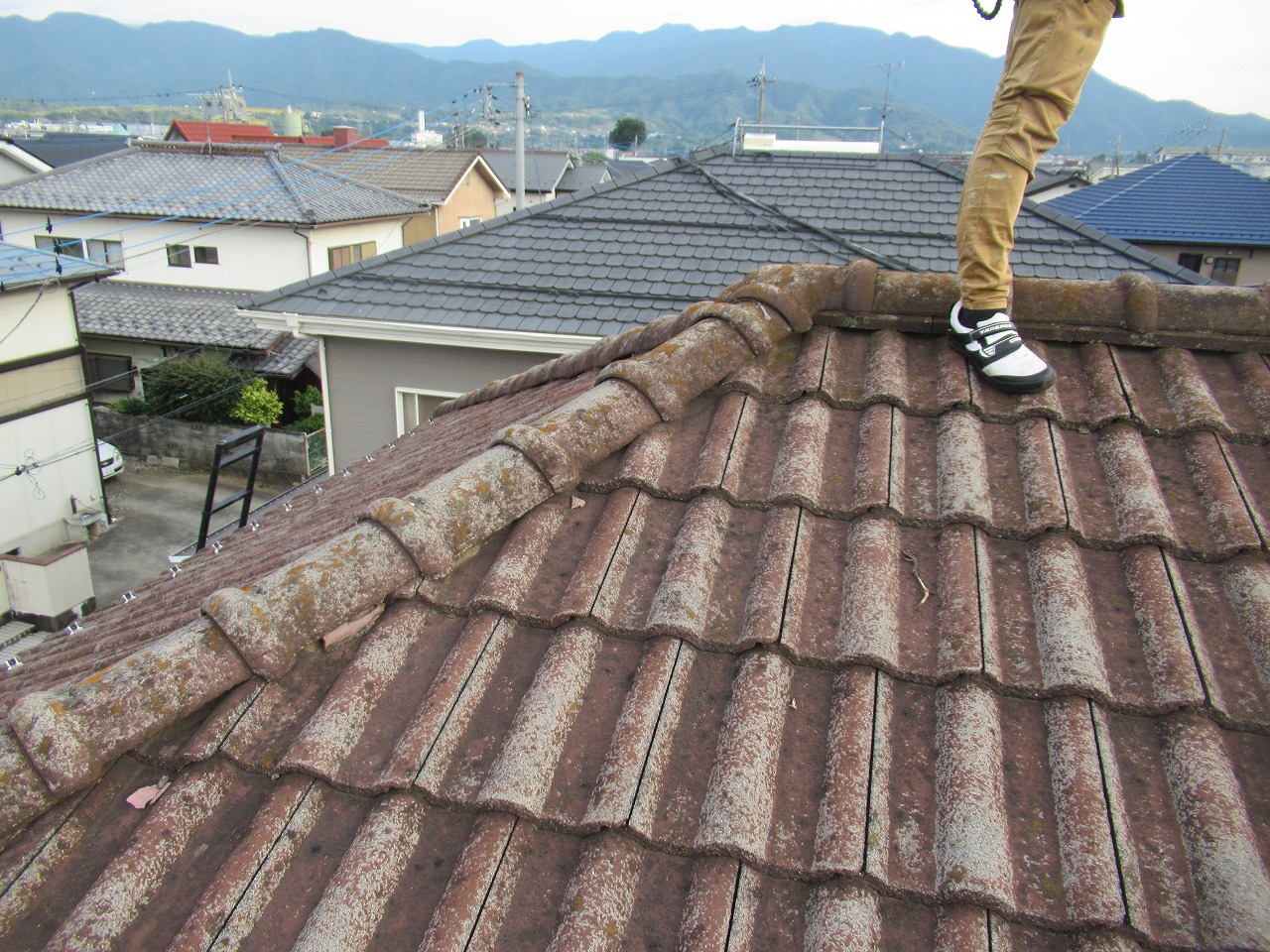 中央市屋根調査の様子