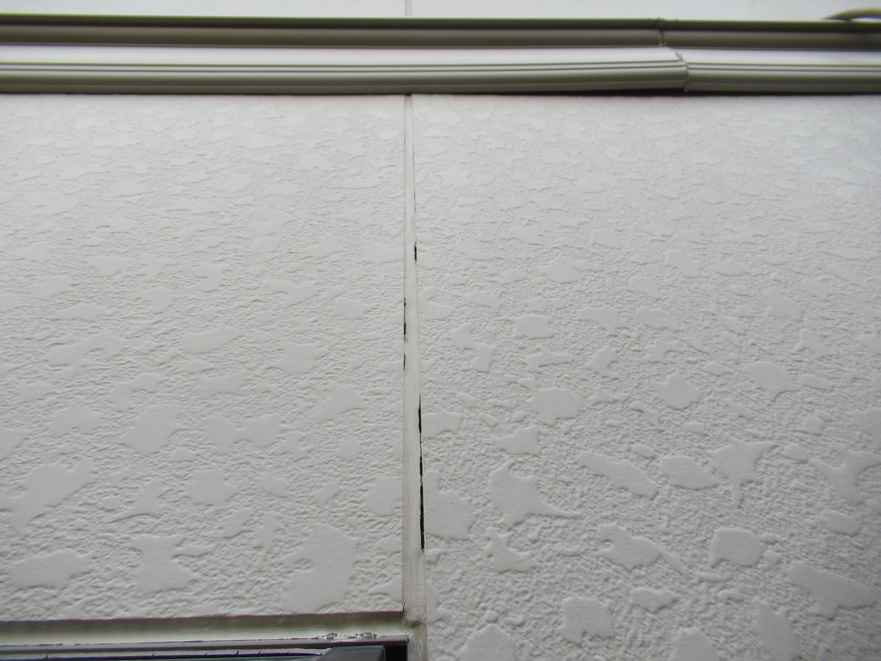 中央市目地写真