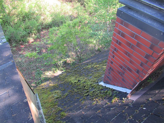 北杜市屋根苔発生