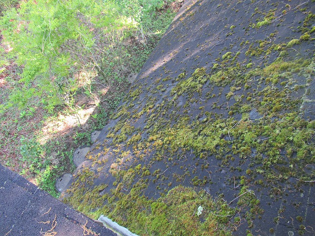 北杜市屋根こけ