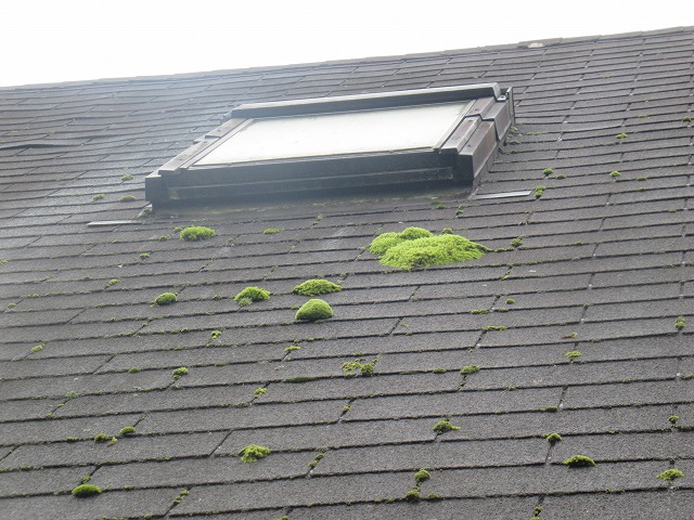 富士河口湖町　アスファルトシングル材コケ発生