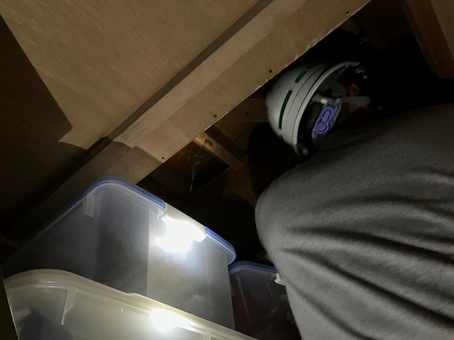 調査の様子天井裏