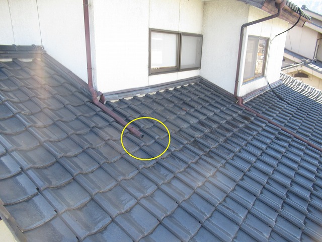 南アルプス市　雨樋交換工事　火災保険　現場調査　軒天破損　漆喰剥がれ