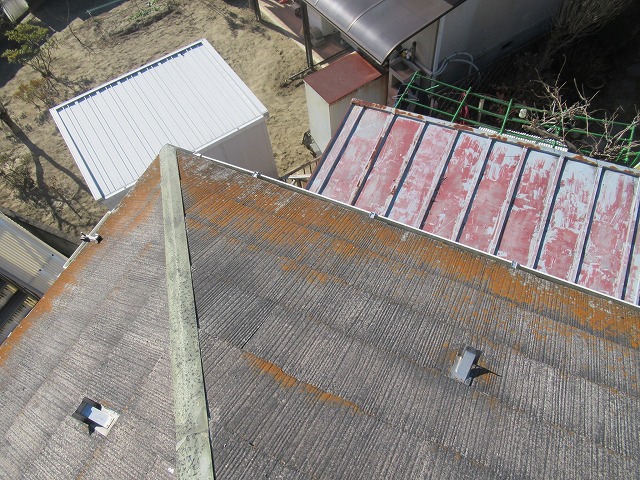 甲府市　スレートこけ