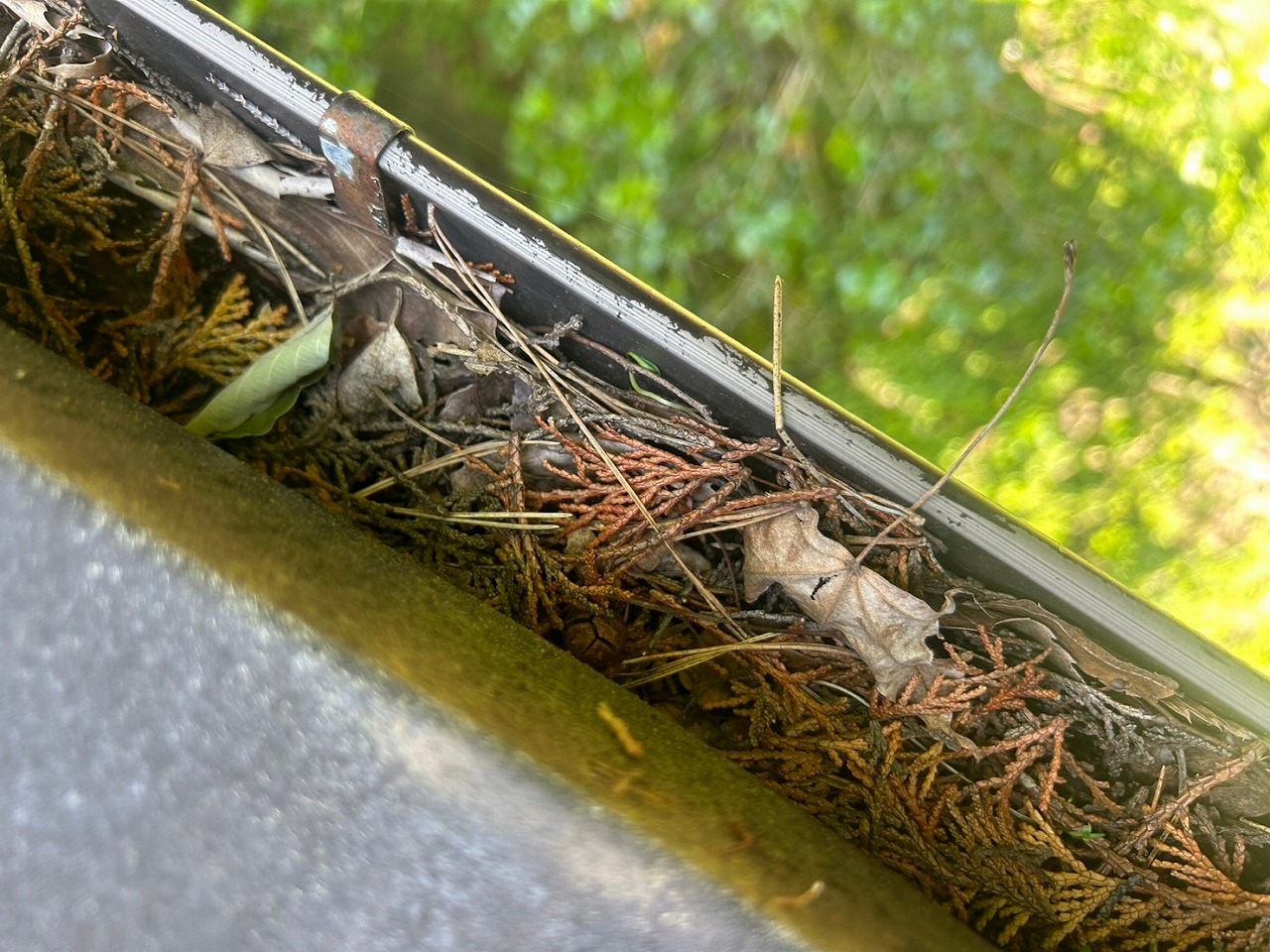 山梨市　雨樋清掃工事