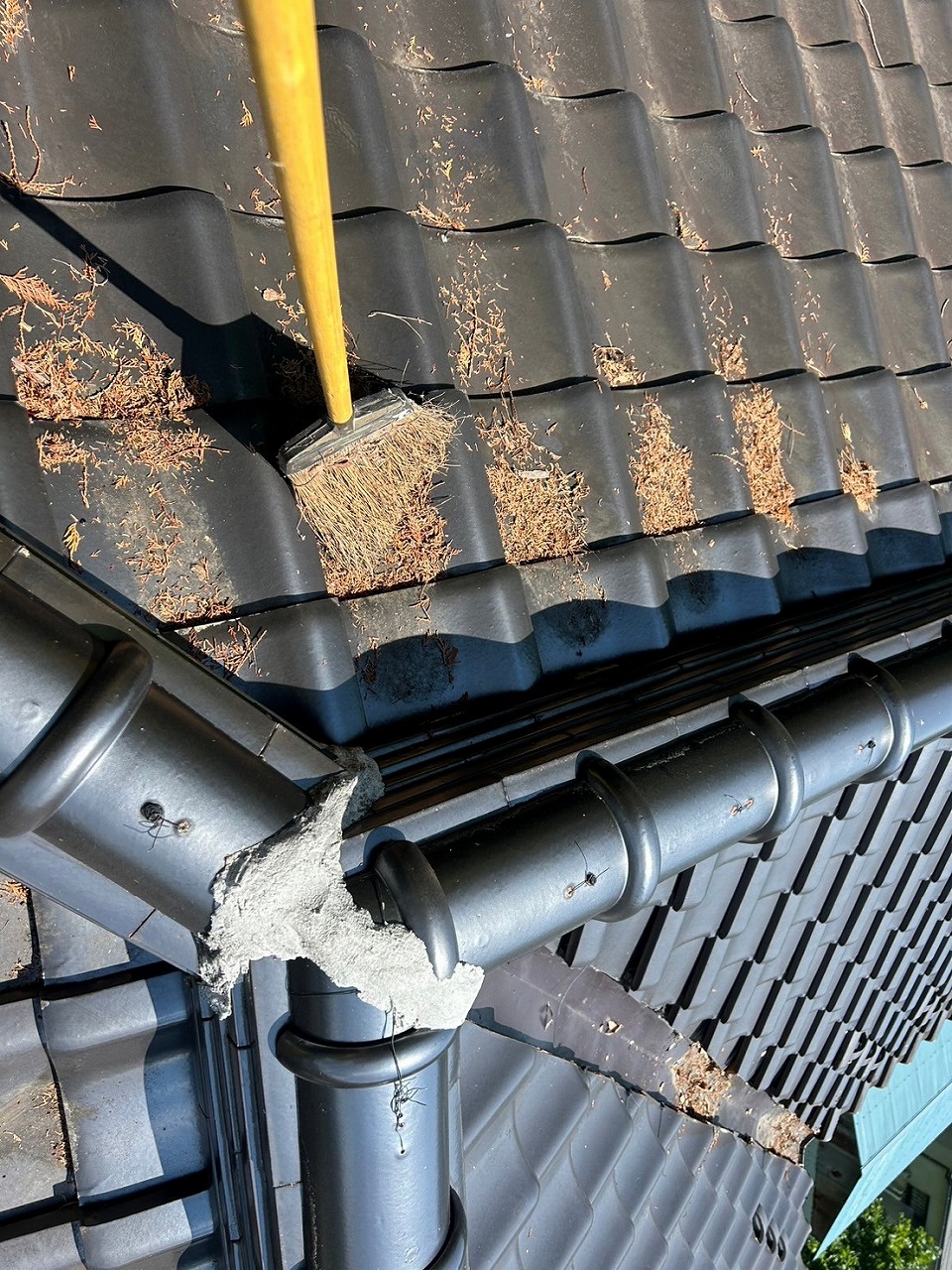 山梨市　雨樋詰まり　掃除