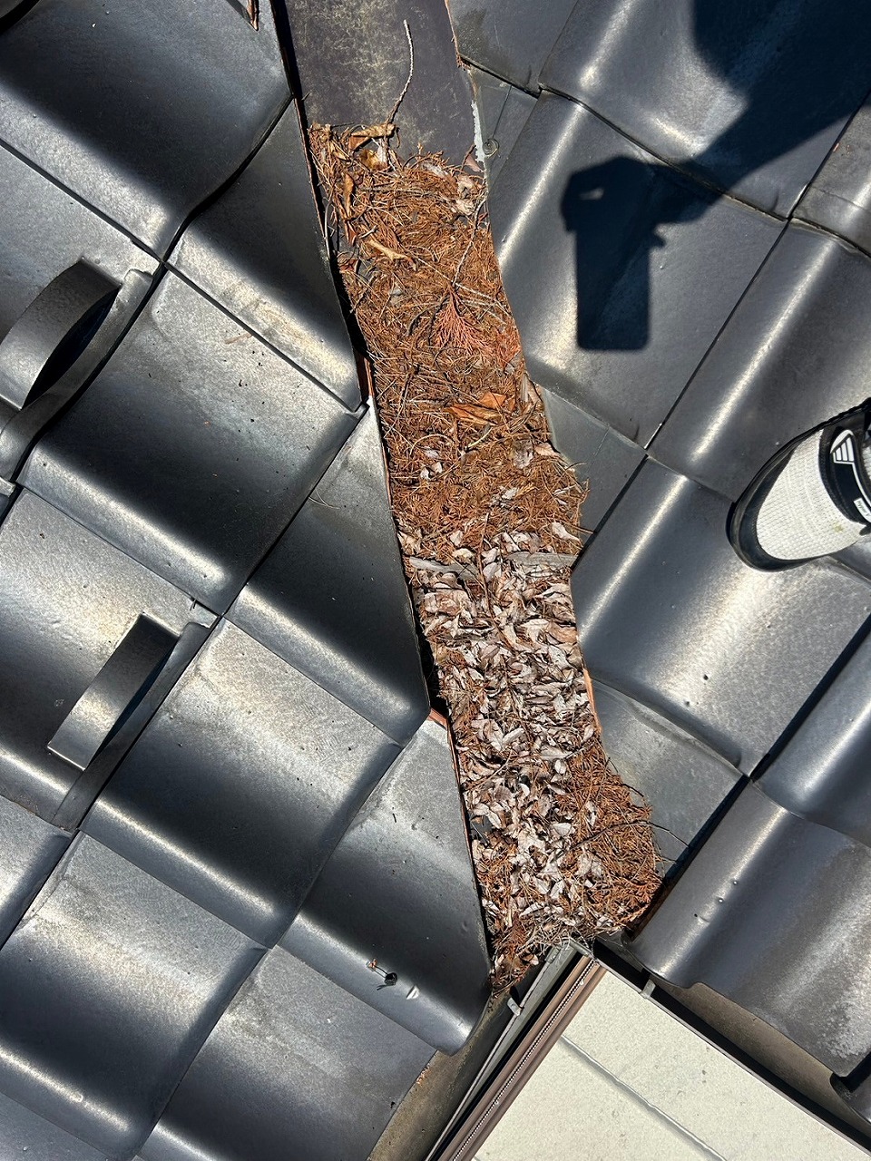 山梨市　雨樋詰まり　枯れ葉