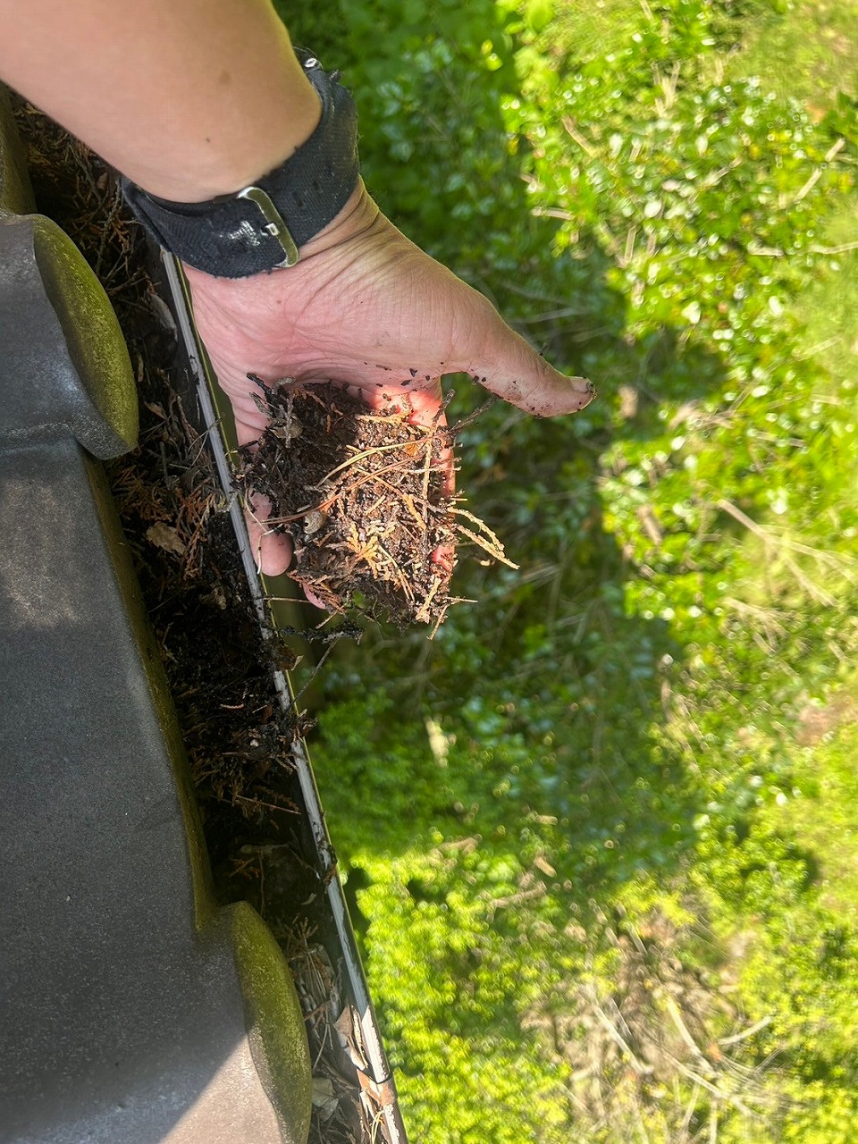 山梨市　雨樋詰まり