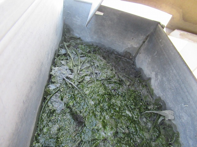 笛吹市　雨樋詰まり