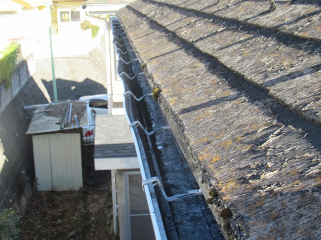 大月市スレートコケ藻