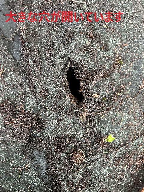 山中湖村　雨漏り　応急処置　アスファルトシングル　屋根　穴