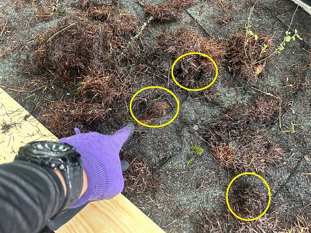 山中湖村　雨漏り　応急処置　アスファルトシングル　屋根　穴