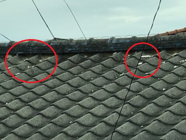 漆喰　剥がれた状態