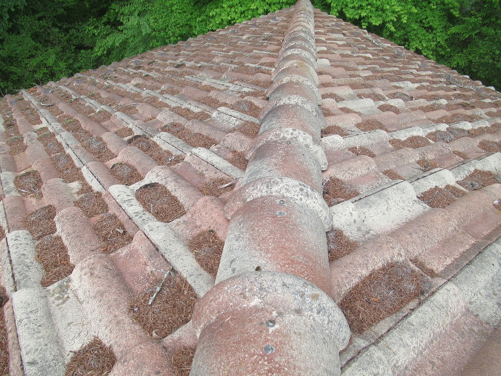 現地調査　鳴沢村