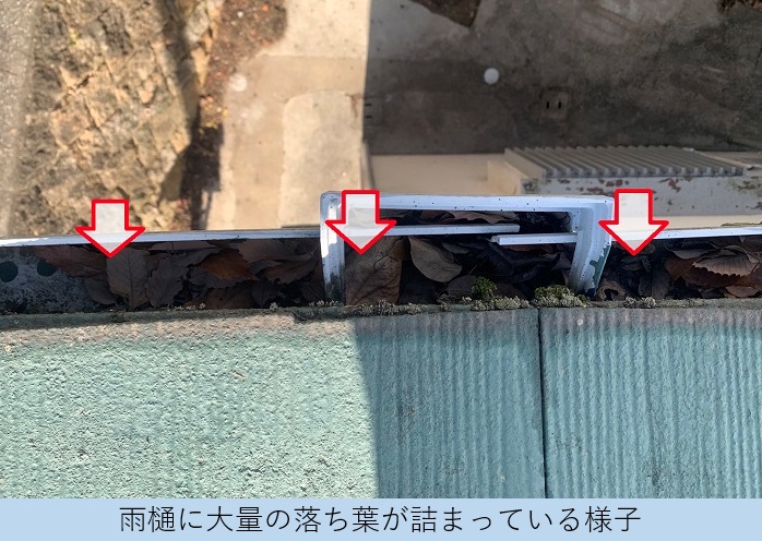 屋根と外壁の無料点検で雨樋内部に落ち葉が詰まっている様子