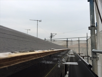 雨どいの仮設置