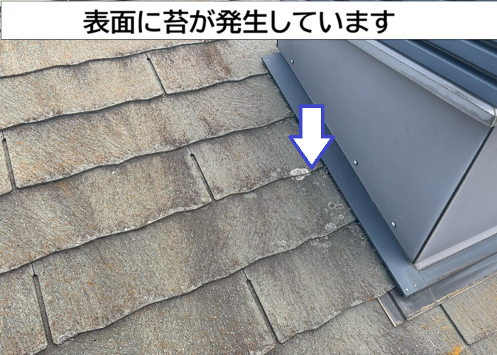 苔の発生したカラーベスト屋根