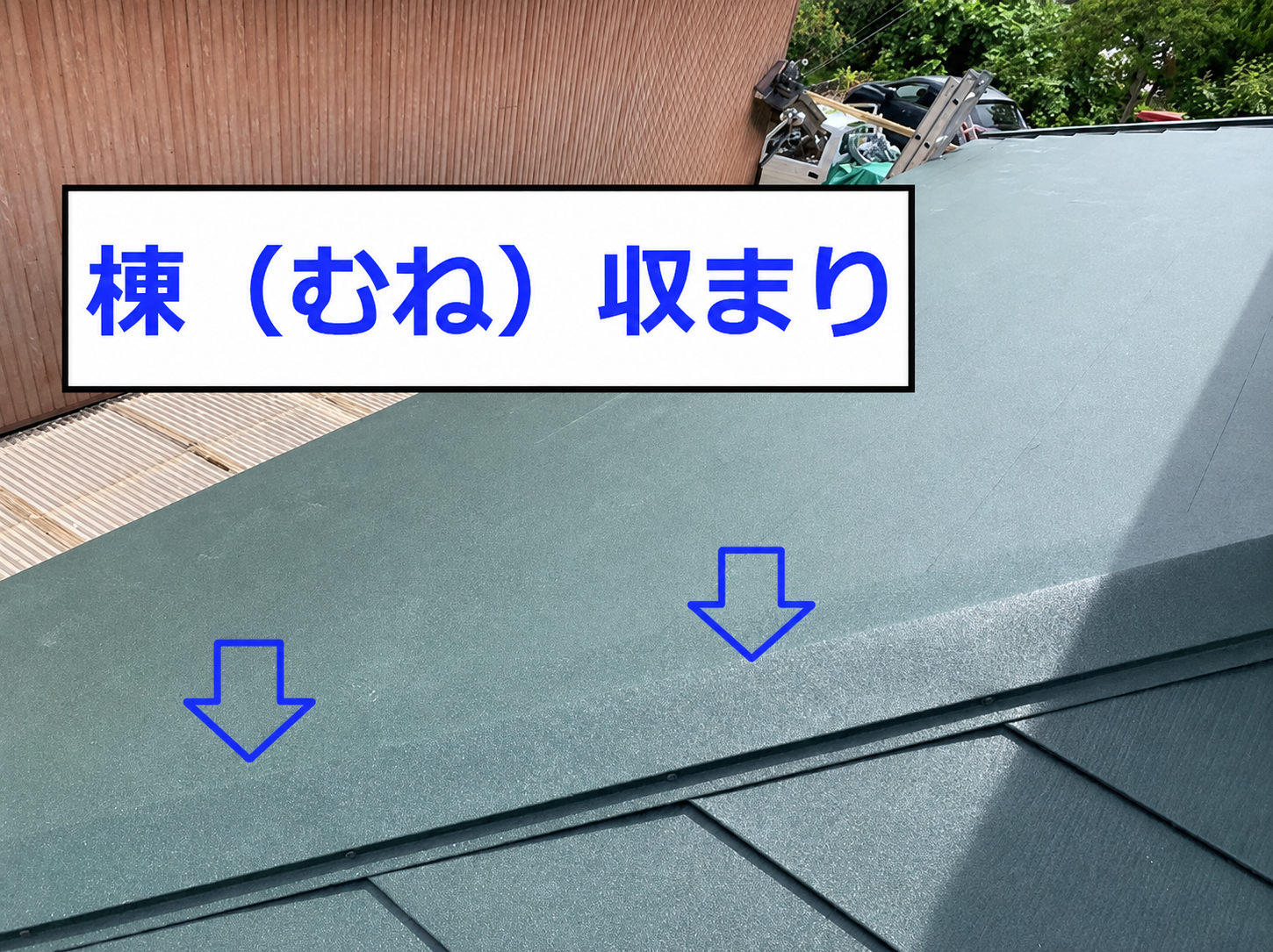 棟板金