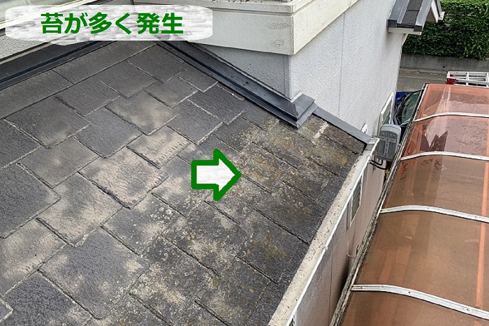 スレート屋根に苔発生