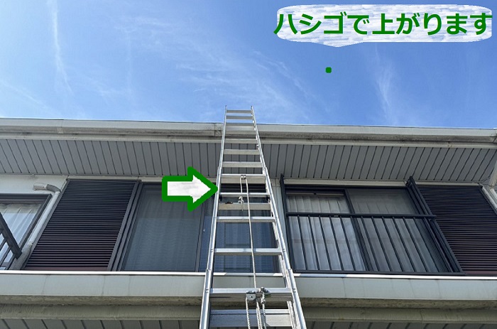 ハシゴで屋根に上ている様子