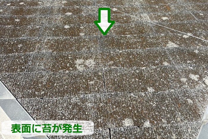 平型スレート屋根の表面に苔発生
