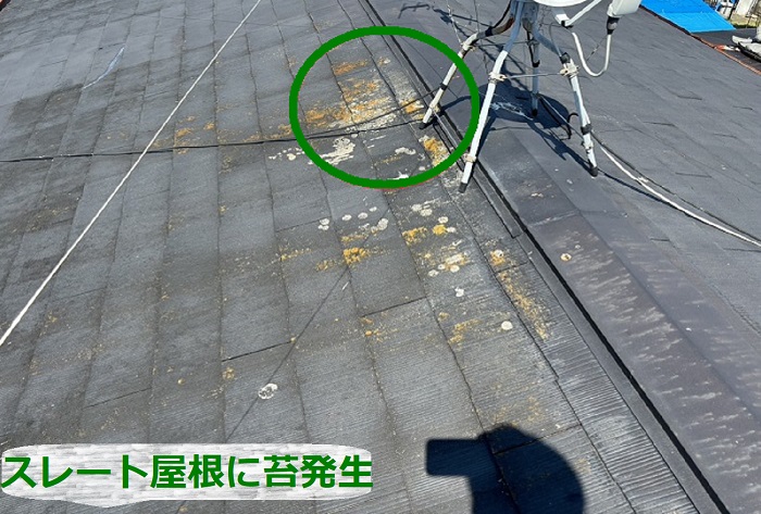 スレート屋根に苔が発生している様子