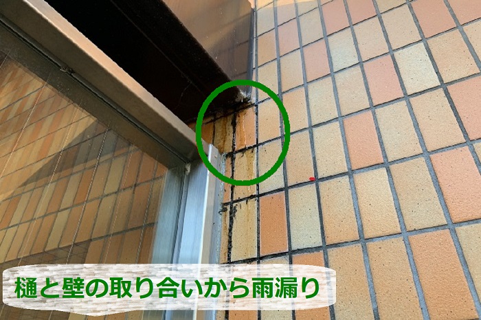 エントランスから雨漏りしている様子