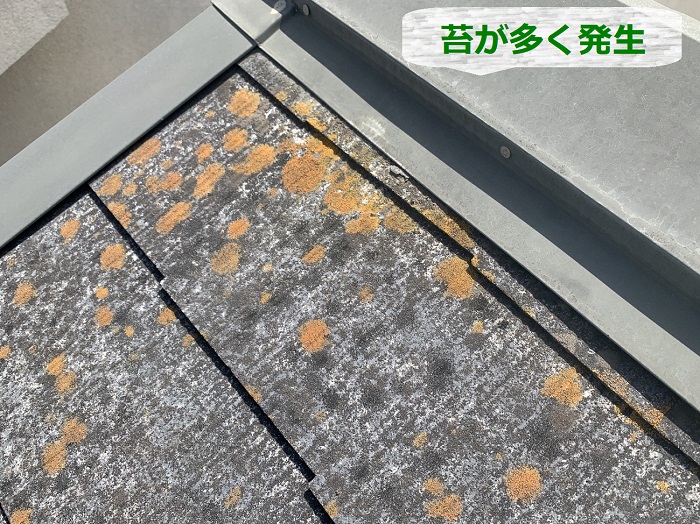 平屋建てのスレート屋根に苔が多く発生している様子