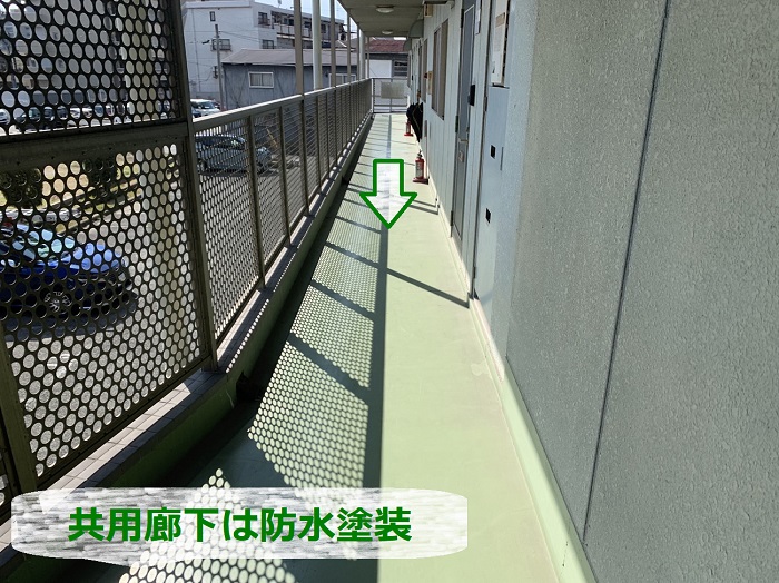 リフォーム工事のお見積もりを行う共用廊下