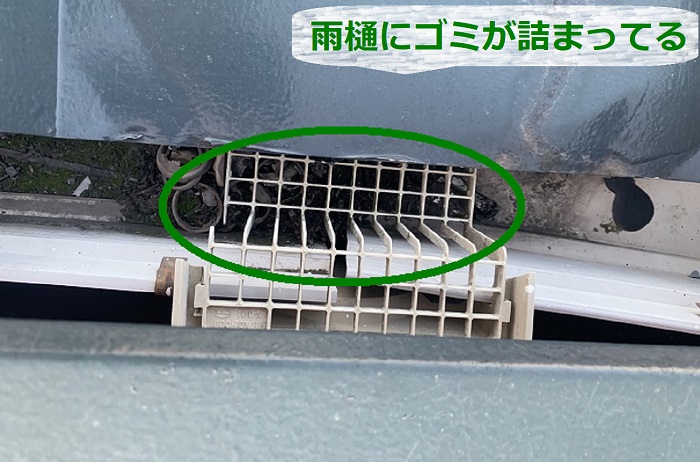 戸建ての雨漏り無料診断で雨樋にゴミが詰まっている様子