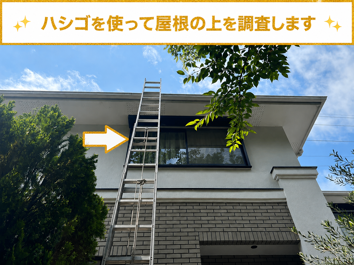 屋根にハシゴを掛けている様子
