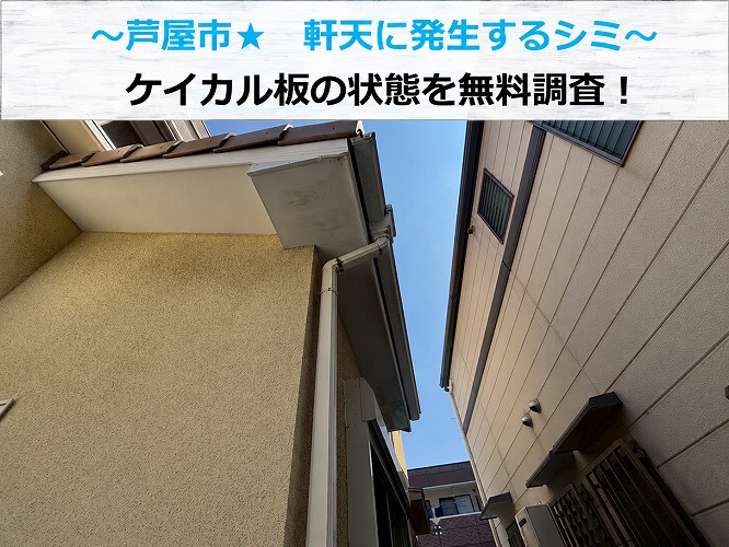 伊丹市で軒天に発生するシミの調査を行う現場の様子