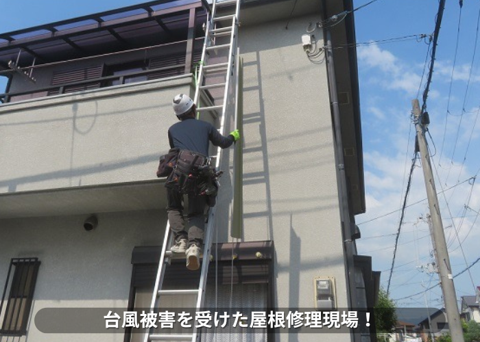 東灘区　台風被害を受けた屋根修理現場