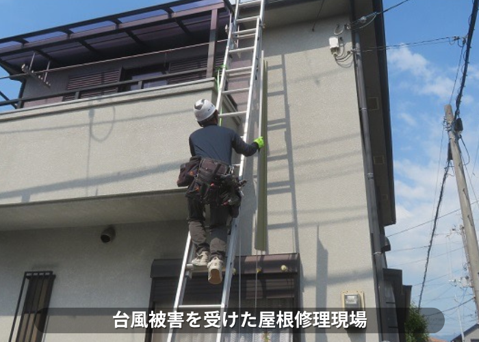 東灘区 台風被害を受けた屋根修理現場