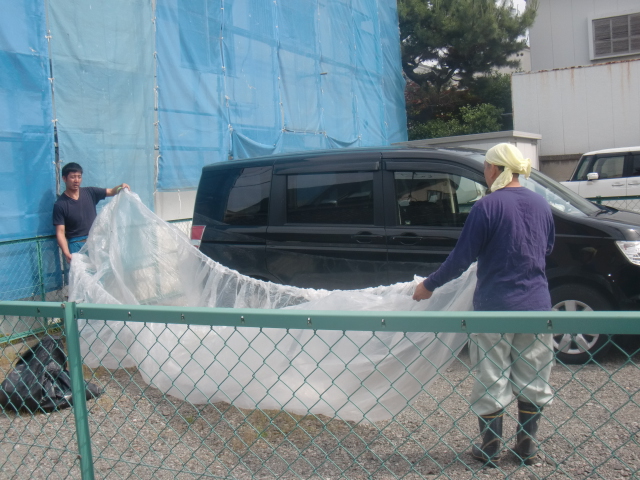 岸和田市春木本町の現場回りの車を養生