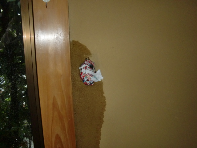 岸和田市畑町の和室の雨漏りの現地調査