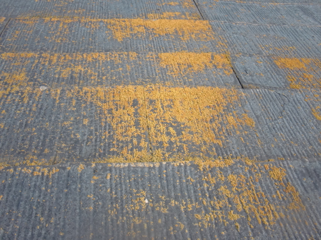 岸和田市天神山町の苔が生えたスレート屋根