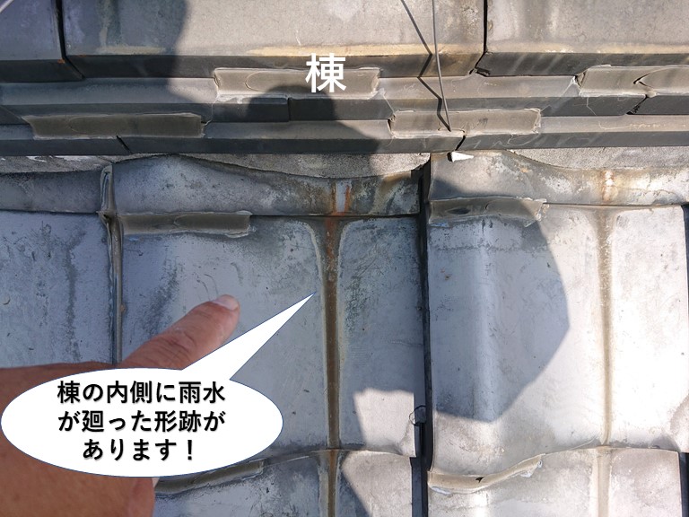 泉佐野市の棟の内側に雨水が廻った形跡があります