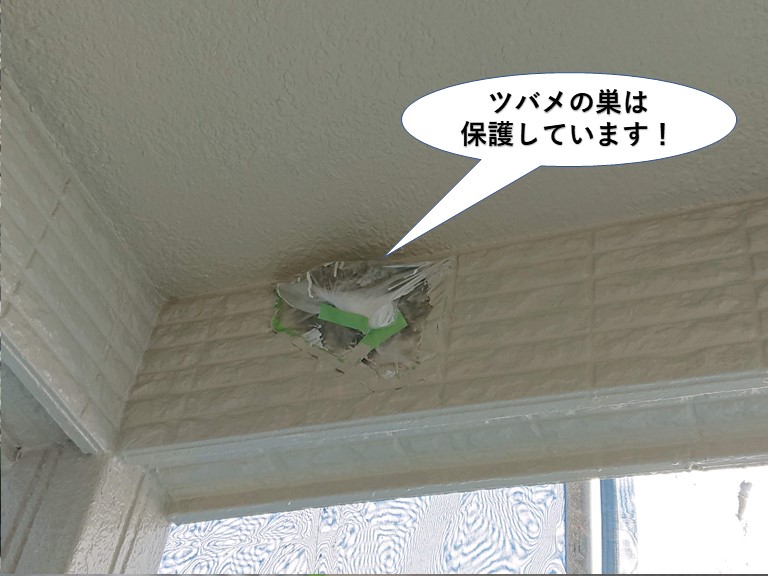 岸和田市のツバメの巣は保護しています