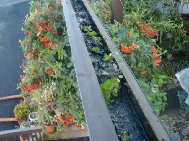 岸和田市西之内町でテラス屋根の雨樋現況