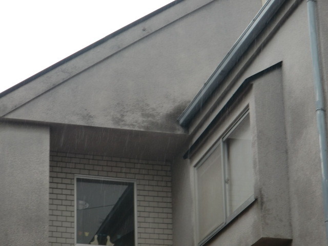 岸和田市極楽寺町の外壁カビ状況