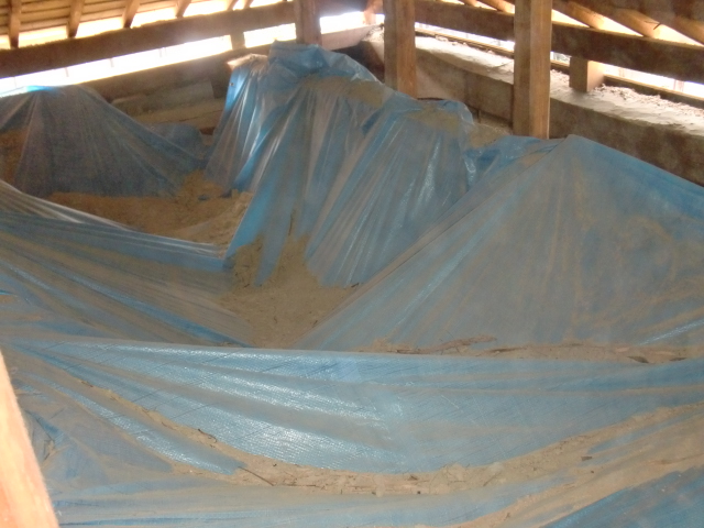 岸和田市土生町の小屋裏状況