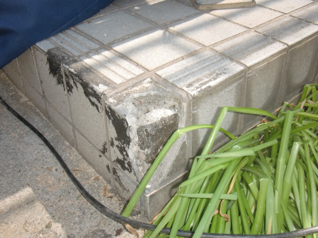 岸和田市春木本町の玄関タイル現況