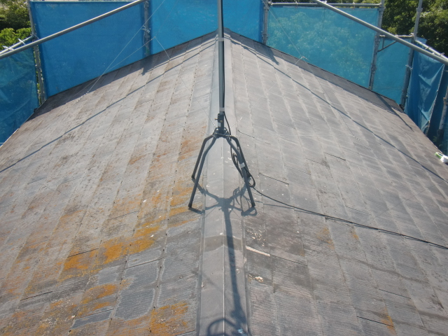 岸和田市摩湯町の苔の生えた屋根