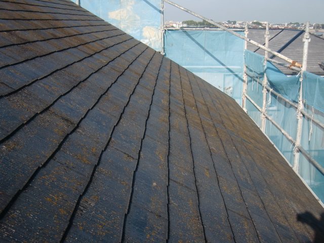 岸和田市岡山町の屋根に付いた苔