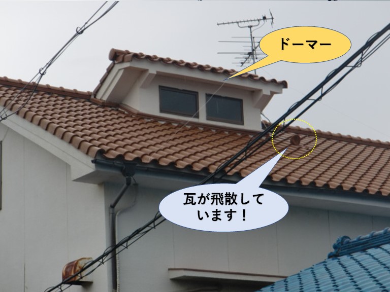 和泉市の瓦が飛散しています