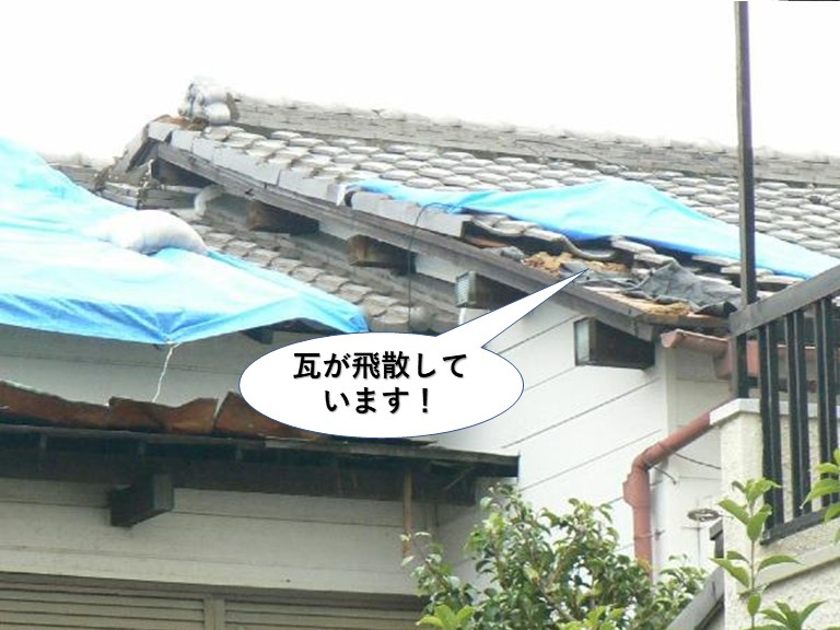 貝塚市の瓦が飛散しています