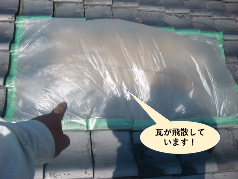 岸和田市の瓦が飛散しています