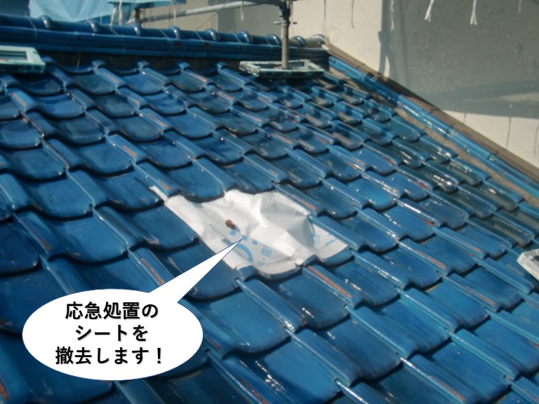 岸和田市で屋根の応急処置のシートを撤去します