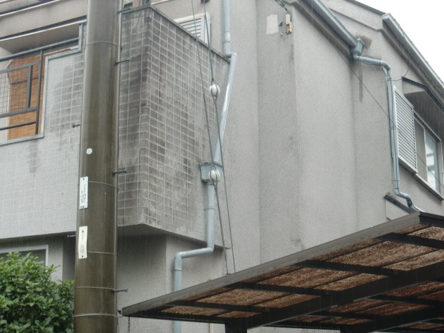 岸和田市極楽寺町の外壁カビ状況